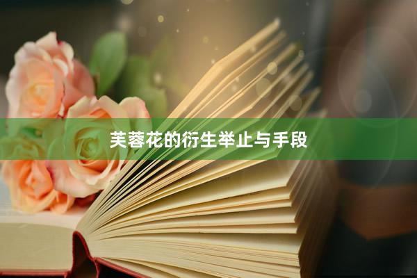 芙蓉花的衍生举止与手段