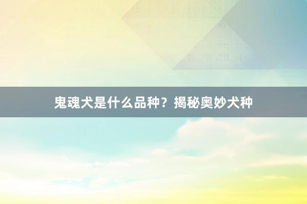 鬼魂犬是什么品种？揭秘奥妙犬种