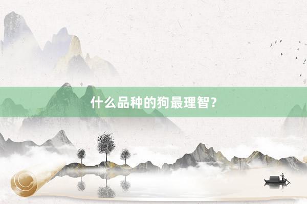 什么品种的狗最理智？