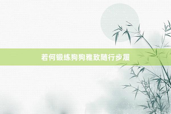 若何锻练狗狗雅致随行步履