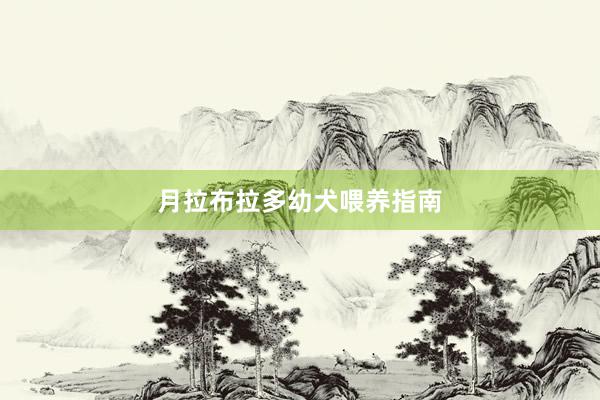 月拉布拉多幼犬喂养指南
