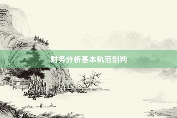 财务分析基本轨范剖判