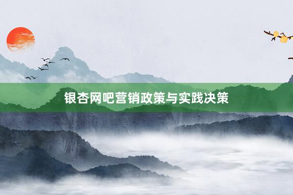 银杏网吧营销政策与实践决策